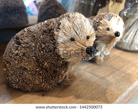 porcupine wood little cute brown
