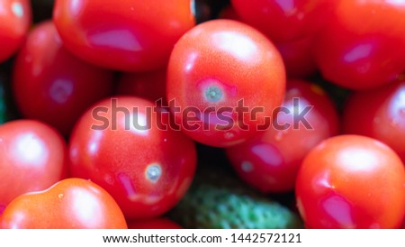 A lot of red tomato and green cucumber lying in the center. Background.