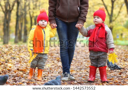 Children are walking in nature. Twilight kids are walking around the park. Brother with sister in autumn city park leaf fall.

