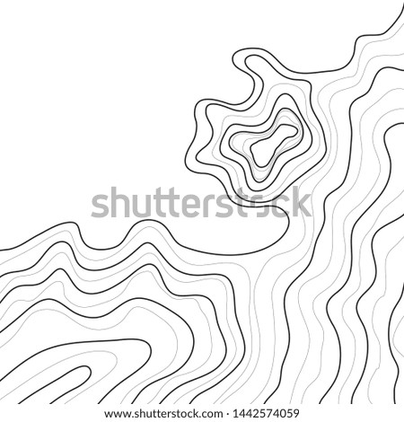 topographic map , abstract height lines isolated on white background ,vector