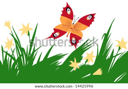 butterfly in herb