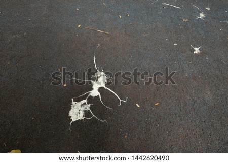 Asphalt road color dark blue is created as an artwork decorate by bird droppings suitable for background concept