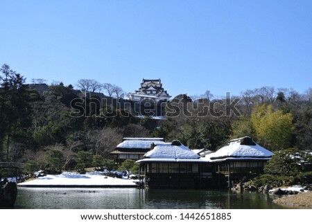 Hikone's Japanese garden in sunny winter