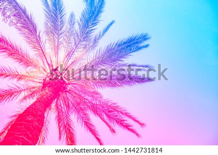 Silhouette of palm trees with a bright summer gradient on a bright blue background of the summer sky. Tropic, vacation and travel concept