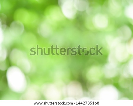 circle bokeh in forest on clear blue sky, abstract background concept on photography image and blurred scene.