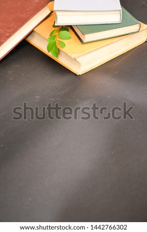 Books on a black background with green leaves far close in a bag on the edge