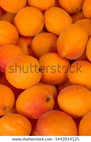 many juicy, ripe, orange apricots for the background