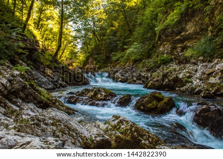 Stream flowing into the Vintgar gorge, Slovenia.
