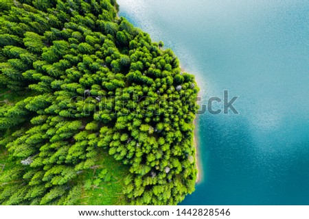 Aerial view of a forest lake. Aerial view of blue lake and green forests on a sunny summer day. Drone photography. Forest and lake border, Toned image from above. Coastline view from the drone.