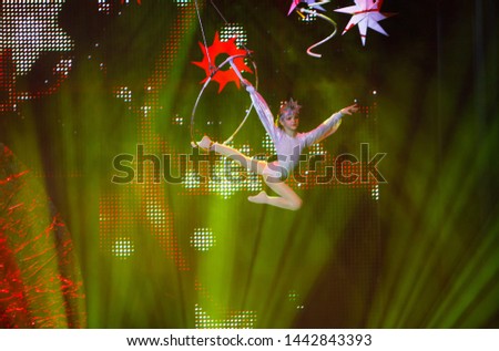 air gymnast performances in the circus