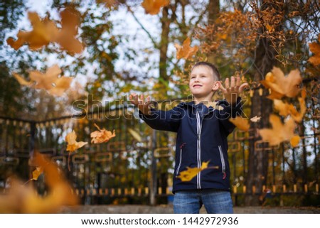 The boy throws autumn leaves. Joyful child. Autumn day, the park.