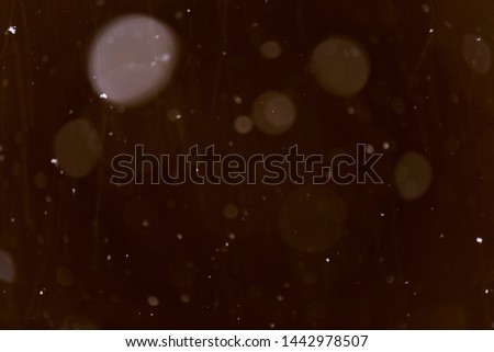 Falling snow at night background, texture
