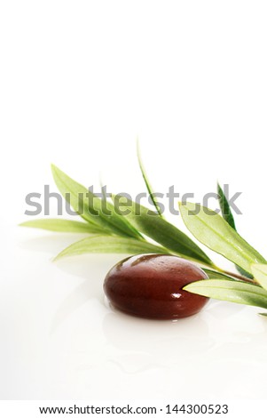 Stones and olive branch isolated over white.