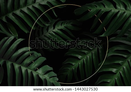 Trendy template compositing of green leaf with golden pattern geometric for wedding and graphic design layout.