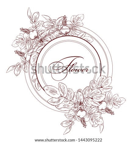 Hand drawn graphic dog rose flower
