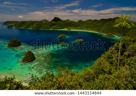 Little paradise falls to earth from Raja Ampat, Papua Indonesia