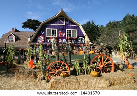farmland decorated with halloween items