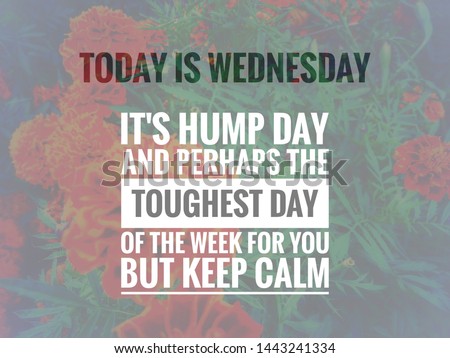 Image with wordings or quotes about wednesday, hump day Royalty-Free Stock Photo #1443241334