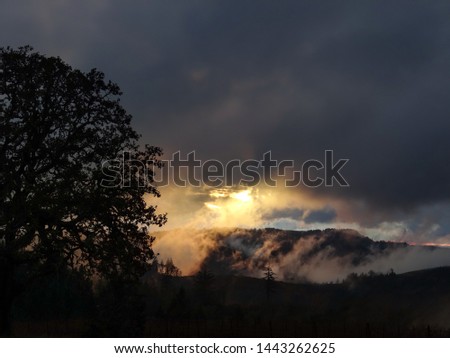 A shaft of late evening light glows through wisps of clouds, a silhouette of an oak tree in the foreground and dark hills in the background.