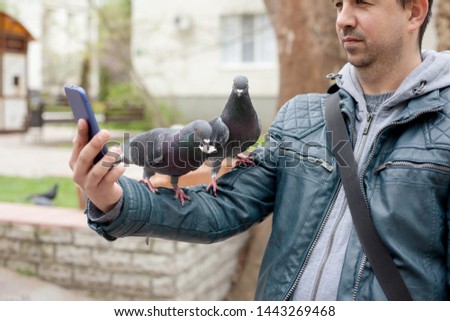 the dove is siting on man hand , male taking photo on phone , pegions posing to the camera