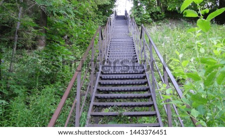 metal staircase in the forest leading up