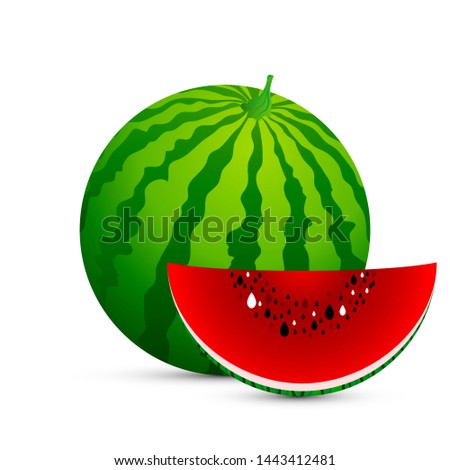Isolated watermelon and a slice of watermelon, vector art illustration.