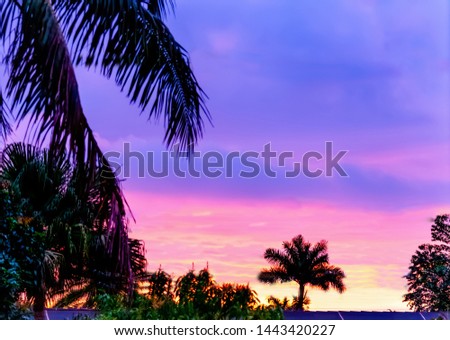 Purple and pink dawn in Miami, USA