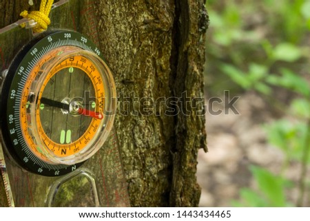 compass to determine the direction of the world hanging on the trunk of a forest tree concept of sports orientation and hiking