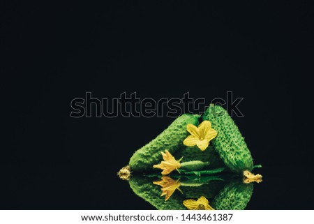 Beautiful  fresh cucumbers and yellow flower on a black glass table dark background.