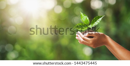 hand holding young plant on blur green nature background. concept eco earth day Royalty-Free Stock Photo #1443475445