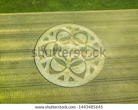 Mysterious crop circle emerged overnight in wheat field with beautiful pattern, found in Buren an der Aare, Switzerland July 2019 Royalty-Free Stock Photo #1443485645