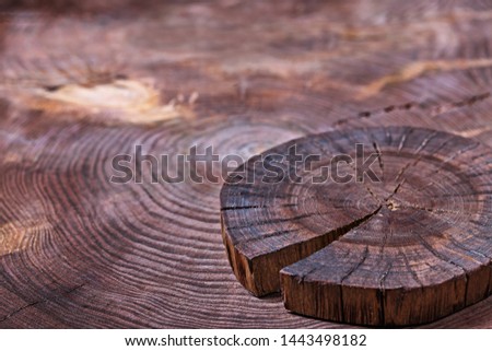 vintage wood background small cross cut of tree trunk for your product display