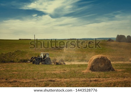 Hayfield. Hay harvesting Sunny autumn landscape. rolls of fresh dry hay in the fields. tractor collects mown grass. fields of yellow mown grass against a blue sky.