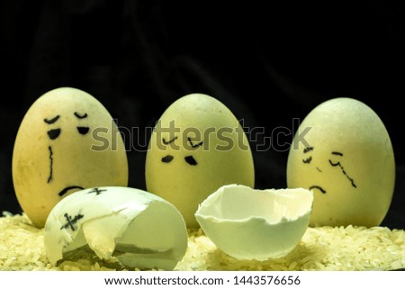 Life of eggs sad crying 
