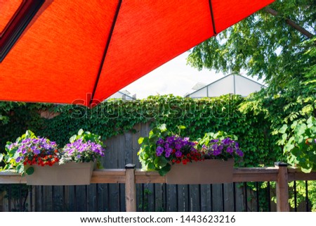 Large planter boxes sit atop a backyard deck railing, and are filled with brightly coloured annuals. An orange umbrella is seen overhead.