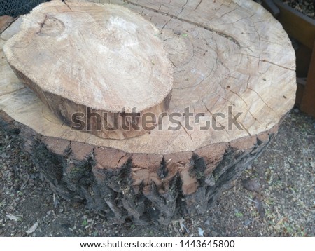 Wood slab and stump photo