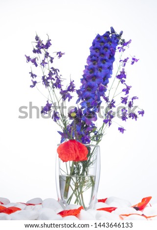 Vase with beautiful red poppy flowers on white rock background close up