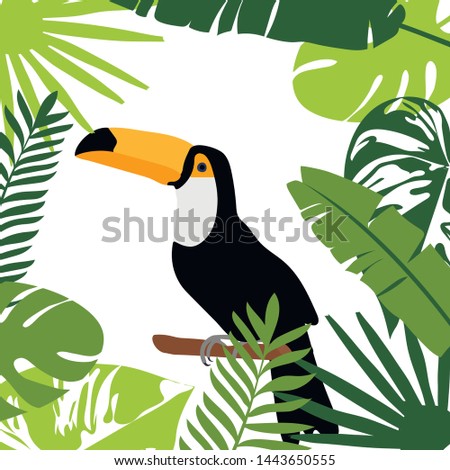 Toucan bird with exotic tropical leaves and flowers. Vector illustration. Toucan bird cartoon character. Wild animal illustration for zoo ad, nature concept, children book illustrating