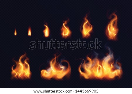 Fire flame realistic set of small and big bright elements on black background isolated vector illustration