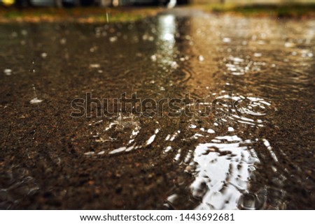 Close-up of a large puddle during rain. On the surface of the water splashes from falling drops.
