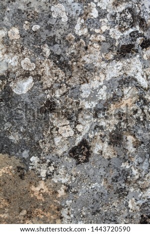 Grayish Old Weathered Natural Stone Texture
