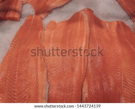 Rainbow trout fillets on ice at the fish market