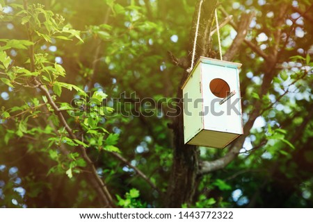 Green wooden birdhouse on a tree in spring in the sunlight