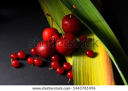 sweet cherry and berries on a dark background; green leaves; studio shot.