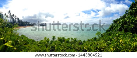 Green beach cove in Hawaii