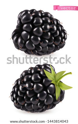 Blackberry, 3d realistic vector icon Royalty-Free Stock Photo #1443814043