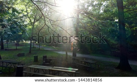 peaceful sunrise in a lush green park with bright sun rays beaming through the trees before the picnic crowd 