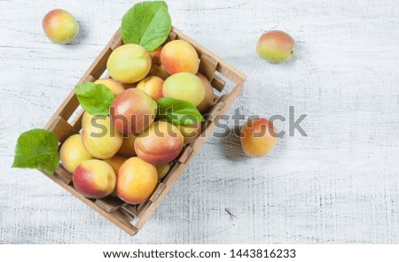 Fresh whole Ripe apricot fruits with a leaf  in wooden basket on white rustic table. Apricots healthy fruit background