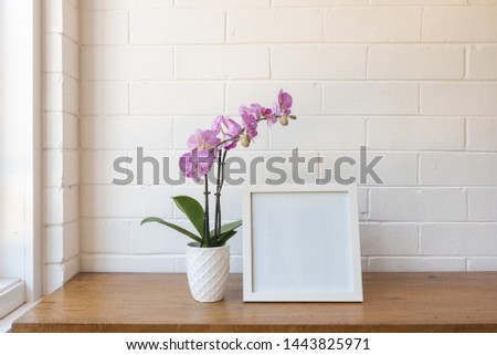 Closeup of purple phalaenopsis orchid in pot with blank square picture frame against white painted brick wall