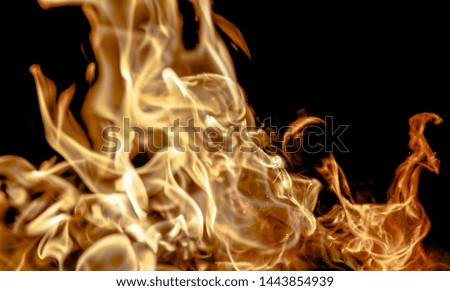 Texture of fire flames on a black background.